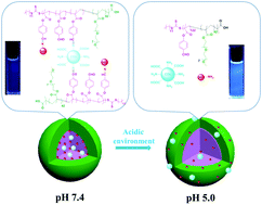 Graphical abstract: Absolutely “off–on” fluorescent CD-based nanotheranostics for tumor intracellular real-time imaging and pH-triggered DOX delivery