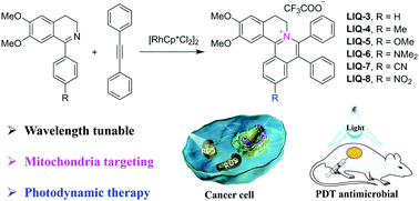 Graphical abstract: Simple synthesis of multifunctional photosensitizers for mitochondrial and bacterial imaging and photodynamic anticancer and antibacterial therapy