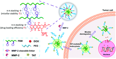 Graphical abstract: MMP-2 sensitive poly(malic acid) micelles stabilized by π–π stacking enable high drug loading capacity