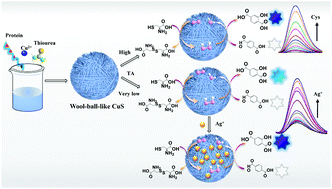 Graphical abstract: Protein-mediated wool-ball-like copper sulfide as a multifunctional nanozyme for dual fluorescence “turn-on” sensors of cysteine and silver ions