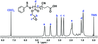 Graphical abstract: Fabrication of aminated poly(glycidyl methacrylate)-based polymers for co-delivery of anticancer drugs and the p53 gene