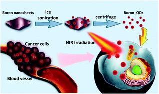 Graphical abstract: Highly efficient photothermal heating via distorted edge-defects in boron quantum dots