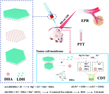 Graphical abstract: Dihydroartemisinin loaded layered double hydroxide nanocomposites for tumor specific photothermal–chemodynamic therapy