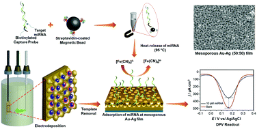 Graphical abstract: Mesoporous gold–silver alloy films towards amplification-free ultra-sensitive microRNA detection