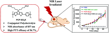 Graphical abstract: Efficient near-infrared anionic conjugated polyelectrolyte for photothermal therapy