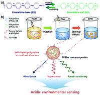 Graphical abstract: Multimodal cellular redox nanosensors based on self-doped polyaniline nanocomposites