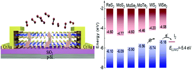 Graphical abstract: Highly selective carrier-type modulation of tungsten selenide transistors using iodine vapor