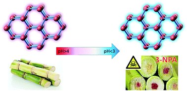 Graphical abstract: A pH-regulated ratiometric luminescence Eu-MOF for rapid detection of toxic mycotoxin in moldy sugarcane