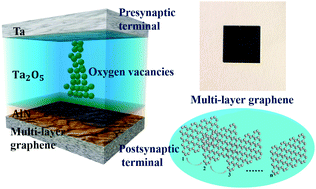 Graphical abstract: Memristors based on multilayer graphene electrodes for implementing a low-power neuromorphic electronic synapse