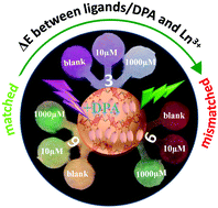 Graphical abstract: Ratiometric fluorescence detection of anthrax biomarker 2,6-dipicolinic acid using hetero MOF sensors through ligand regulation