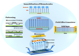 Graphical abstract: The role of self-assembled monolayers in electronic devices