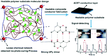 Graphical abstract: A healable waterborne polyurethane synergistically cross-linked by hydrogen bonds and covalent bonds for composite conductors