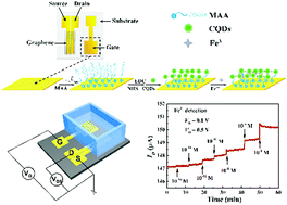 Graphical abstract: Ultrasensitive Fe3+ ion detection based on carbon quantum dot-functionalized solution-gated graphene transistors