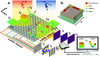 Graphical abstract: Programmable anisotropic digital metasurface for independent manipulation of dual-polarized THz waves based on a voltage-controlled phase transition of VO2 microwires