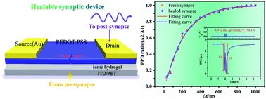 Graphical abstract: An intrinsically healing artificial neuromorphic device