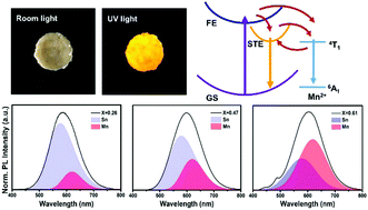 Graphical abstract: Mn-doped 2D Sn-based perovskites with energy transfer from self-trapped excitons to dopants for warm white light-emitting diodes
