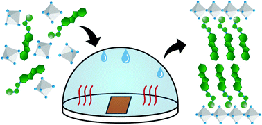 Graphical abstract: 2D layered perovskite containing functionalised benzothieno-benzothiophene molecules: formation, degradation, optical properties and photoconductivity
