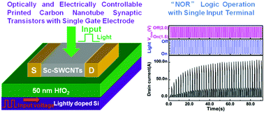 Graphical abstract: Optically and electrically modulated printed carbon nanotube synaptic transistors with a single input terminal and multi-functional output characteristics