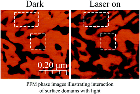 Graphical abstract: Functional surface layers in relaxor ferroelectrics