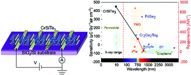 Graphical abstract: High performance broadband photo and soft X-ray detectors based on two dimensional CrSiTe3