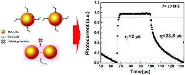 Graphical abstract: Hybrid perovskite exchange of PbS quantum dots for fast and high-detectivity visible–near-infrared photodetectors