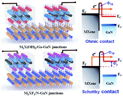 Graphical abstract: Interface and polarization effects induced Schottky-barrier-free contacts in two-dimensional MXene/GaN heterojunctions