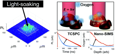 Graphical abstract: Visualizing the role of photoinduced ion migration on photoluminescence in halide perovskite grains