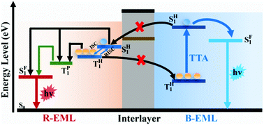 Graphical abstract: High efficiency, low efficiency roll-off and long lifetime fluorescent white organic light-emitting diodes based on strategic management of triplet excitons via triplet–triplet annihilation up-conversion and phosphor sensitization