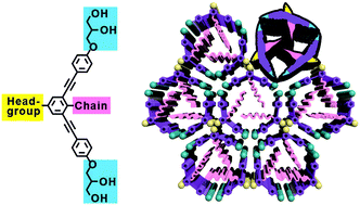 Graphical abstract: Tailoring liquid crystal honeycombs by head-group choice in bird-like bent-core mesogens