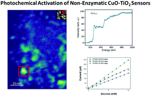 Graphical abstract: Photo-electrochemical properties of CuO–TiO2 heterojunctions for glucose sensing