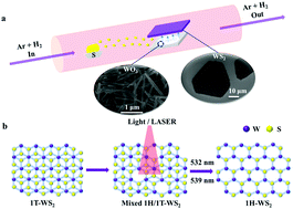 Graphical abstract: Phase selective CVD growth and photoinduced 1T → 1H phase transition in a WS2 monolayer