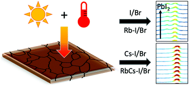 Graphical abstract: Understanding the effect of light and temperature on the optical properties and stability of mixed-ion halide perovskites