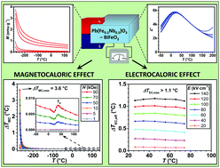 Graphical abstract: Pb(Fe0.5Nb0.5)O3–BiFeO3-based multicalorics with room-temperature ferroic anomalies