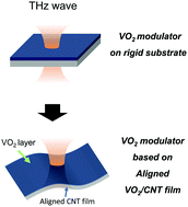 Graphical abstract: A flexible, multifunctional, active terahertz modulator with an ultra-low triggering threshold