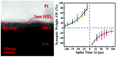 Graphical abstract: Optimization of oxygen vacancy concentration in HfO2/HfOx bilayer-structured ultrathin memristors by atomic layer deposition and their biological synaptic behavior