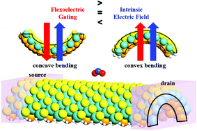 Graphical abstract: Asymmetrically flexoelectric gating effect of Janus transition-metal dichalcogenides and their sensor applications