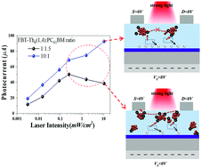 Graphical abstract: The mechanism of photogenerated minority carrier movement in organic phototransistors