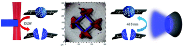 Graphical abstract: Multi-material 3D microstructures with photochemically adaptive mechanical properties