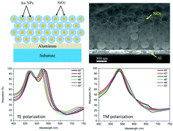 Graphical abstract: Self-assembled metamaterial perfect absorbers at visible wavelengths using core–shell Au@SiO2 meta-atoms