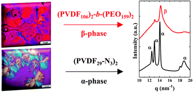Graphical abstract: 4-Miktoarm star architecture induces PVDF β-phase formation in (PVDF)2-b-(PEO)2 miktoarm star copolymers