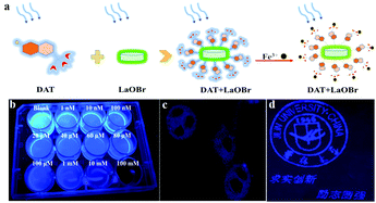 Graphical abstract: High fluorescence LaOBr/coumarin organic–inorganic composite nanomaterials for ultra-sensitive Fe3+ sensing, fluorescence imaging and water-based ink anti-counterfeiting applications
