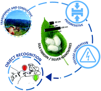 Graphical abstract: Optically transparent silk fibroin/silver nanowire composites for piezoresistive sensing and object recognitions