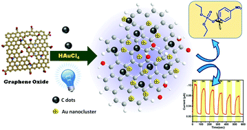 Graphical abstract: Carbon dot mediated trihybrid formation by reduction of GO and in situ gold nanocluster fabrication: photo-switching behaviour and degradation of chemical warfare agent stimulants