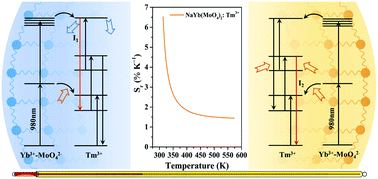 Graphical abstract: An ultrasensitive luminescent nanothermometer in the first biological window based on phonon-assisted thermal enhancing and thermal quenching