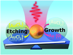 Graphical abstract: Light-directed on-chip shape transformation of a single gold nanoparticle