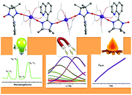 Graphical abstract: Multifunctional properties existing in Ln–nitronyl nitroxide single-chain magnets