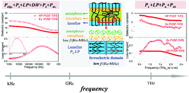 Graphical abstract: Multiscale understanding of electric polarization in poly(vinylidene fluoride)-based ferroelectric polymers