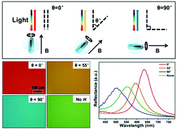 Graphical abstract: Photonic nanostructures of nanodiscs with multiple magneto-optical properties