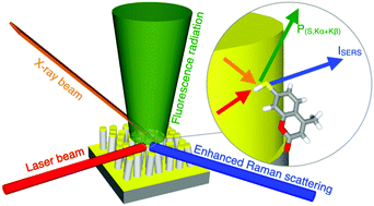 Graphical abstract: Towards a traceable enhancement factor in surface-enhanced Raman spectroscopy