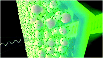 Graphical abstract: Efficient third harmonic generation from FAPbBr3 perovskite nanocrystals